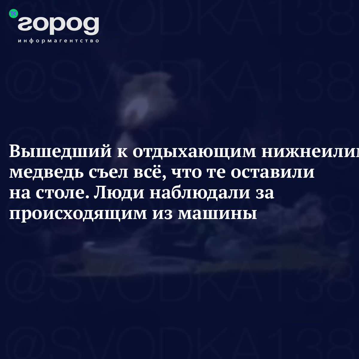 Вышедший к отдыхающим нижнеилимцам медведь съел всё, что те оставили на  столе. Люди наблюдали за происходящим из машины