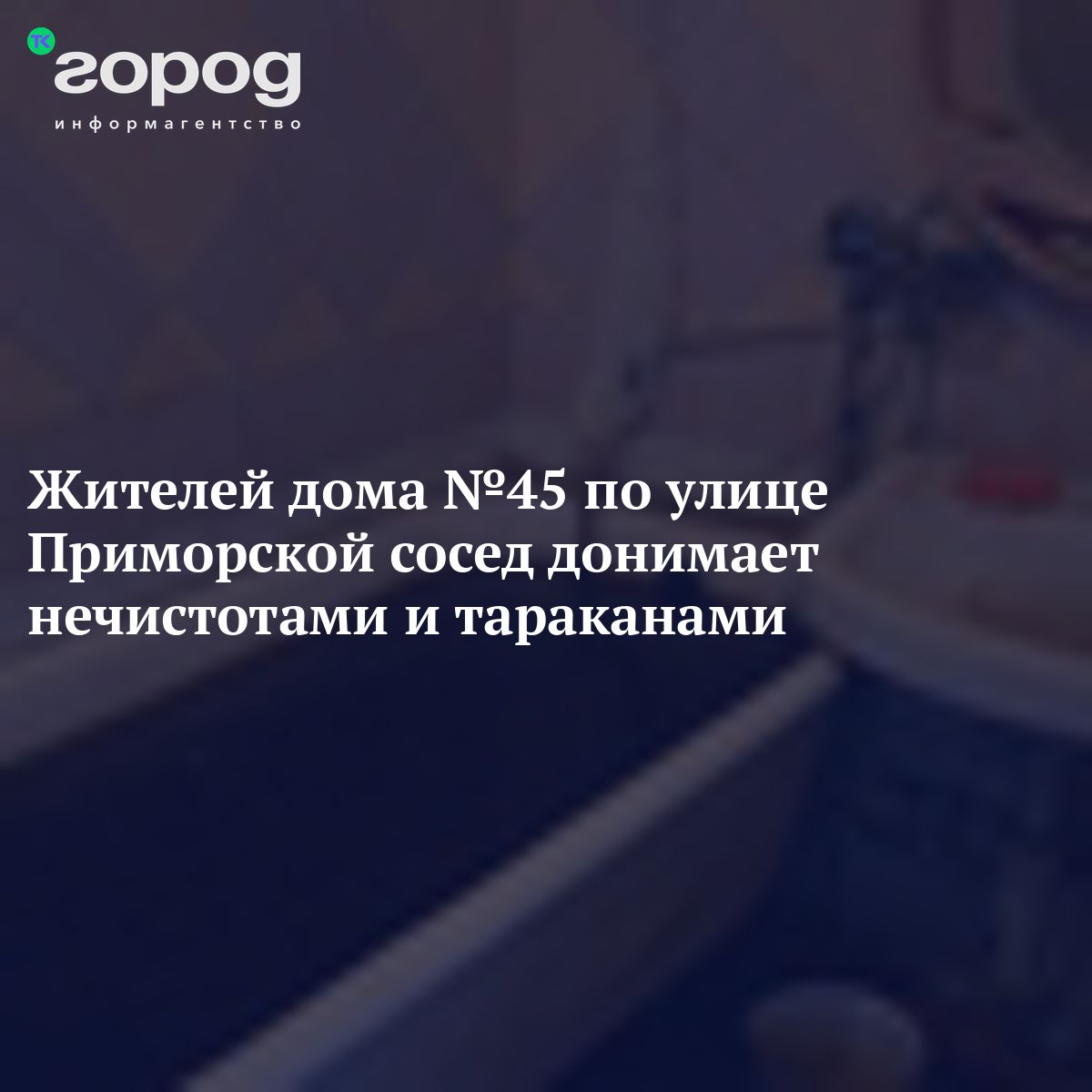 Жителей дома №45 по улице Приморской сосед донимает нечистотами и тараканами