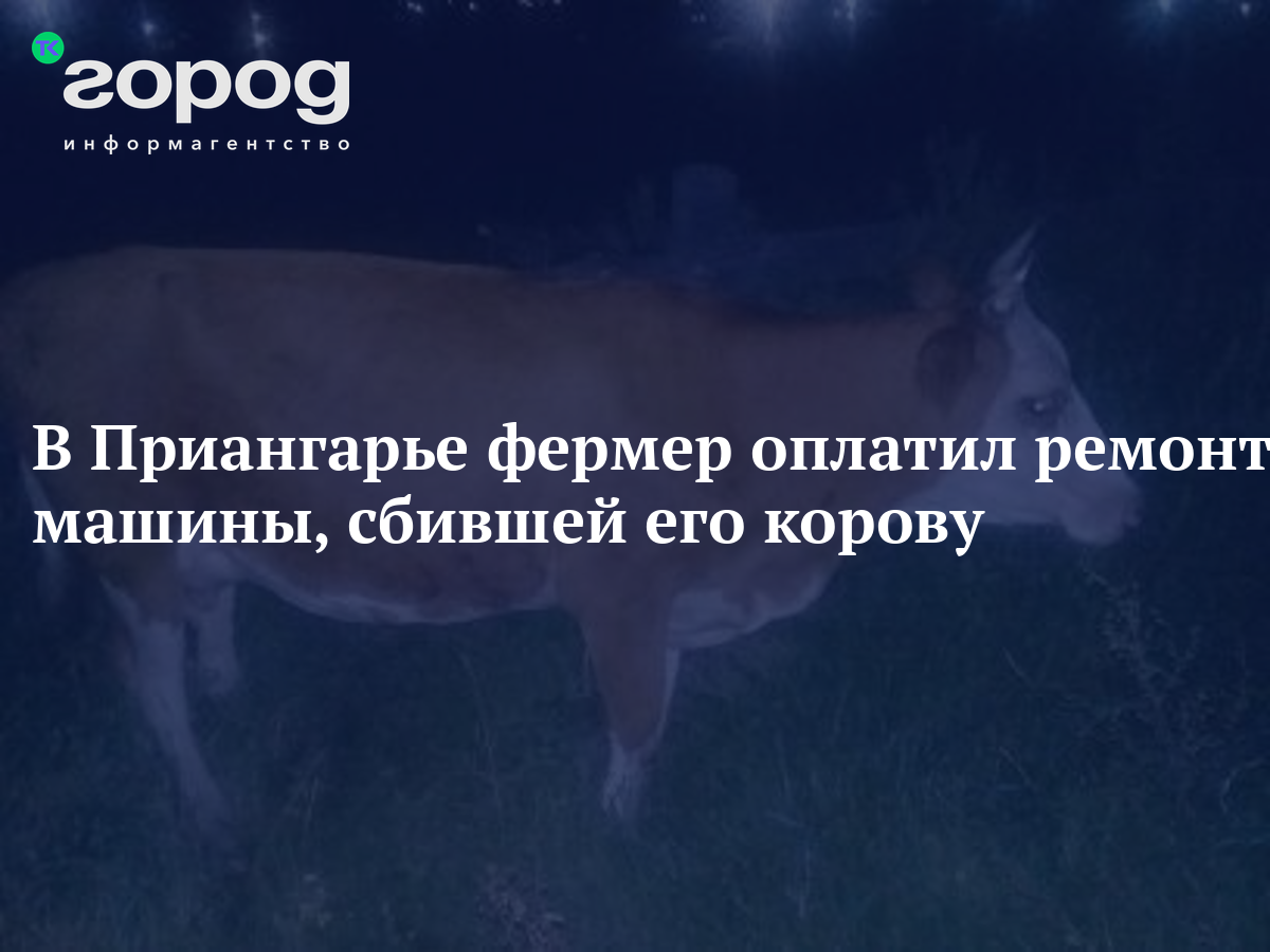 В Приангарье фермер оплатил ремонт машины, сбившей его корову