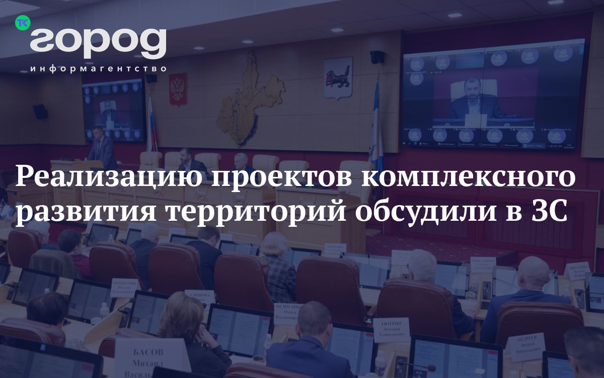 Реализацию проектов комплексного развития территорий обсудили в ЗС