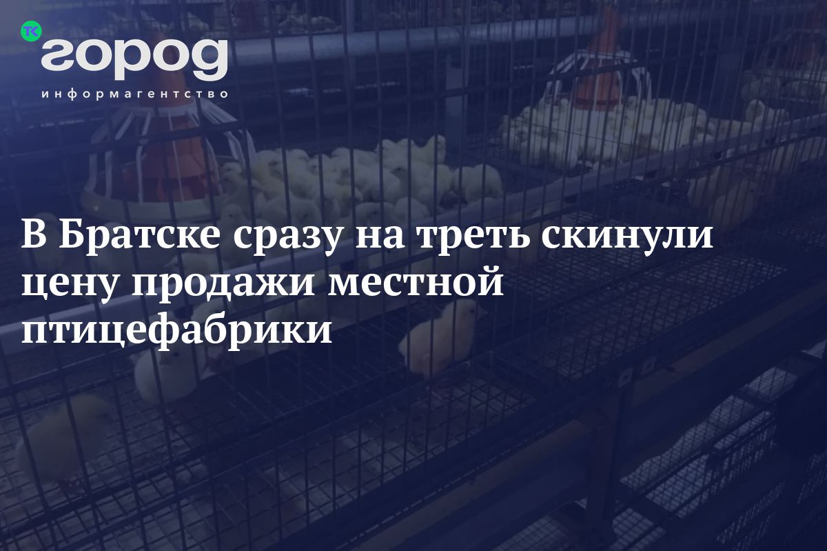 В Братске сразу на треть скинули цену продажи местной птицефабрики.  Предприятие пытаются продать с осени