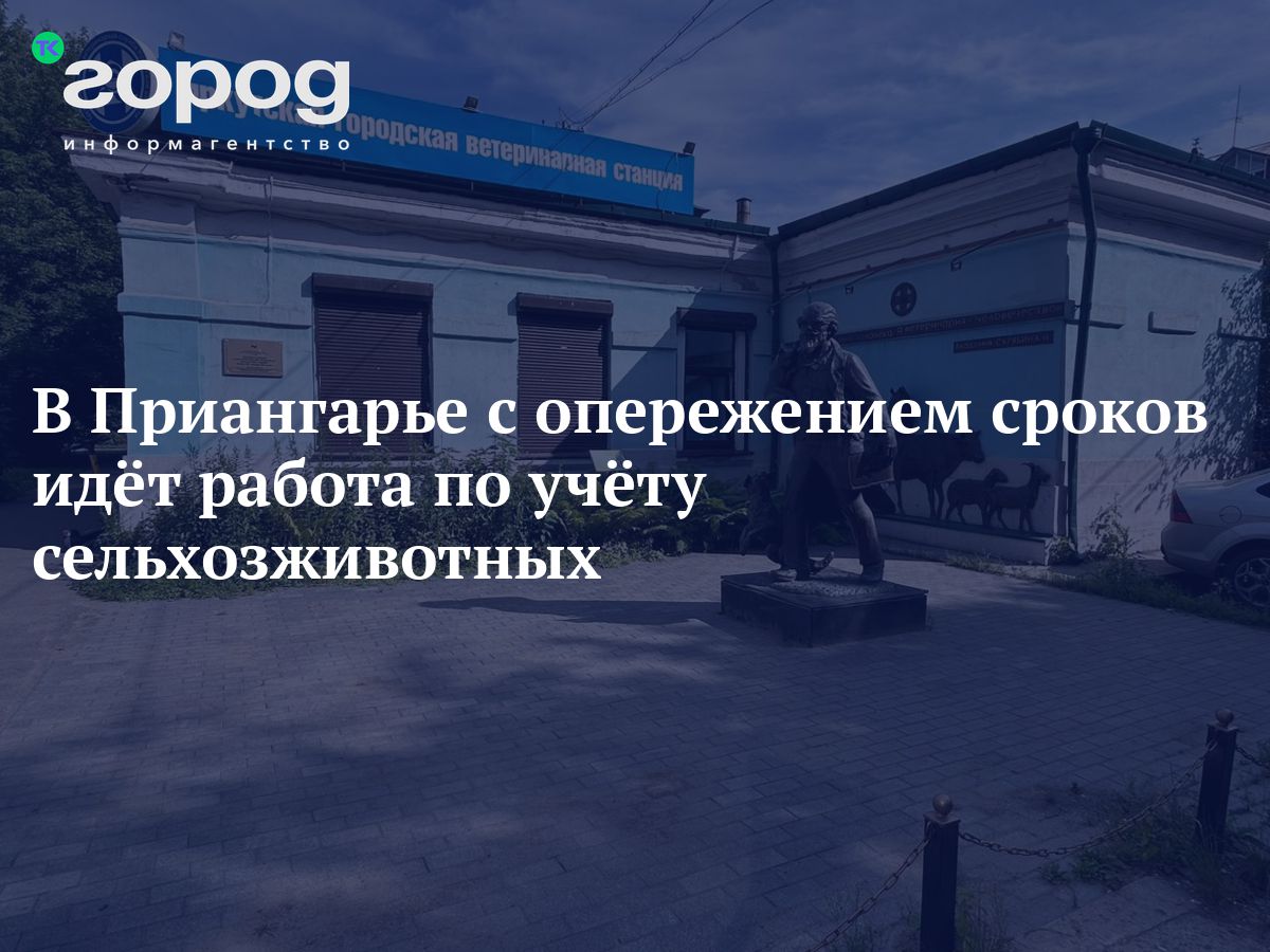 В Приангарье с опережением сроков идёт работа по учёту сельхозживотных