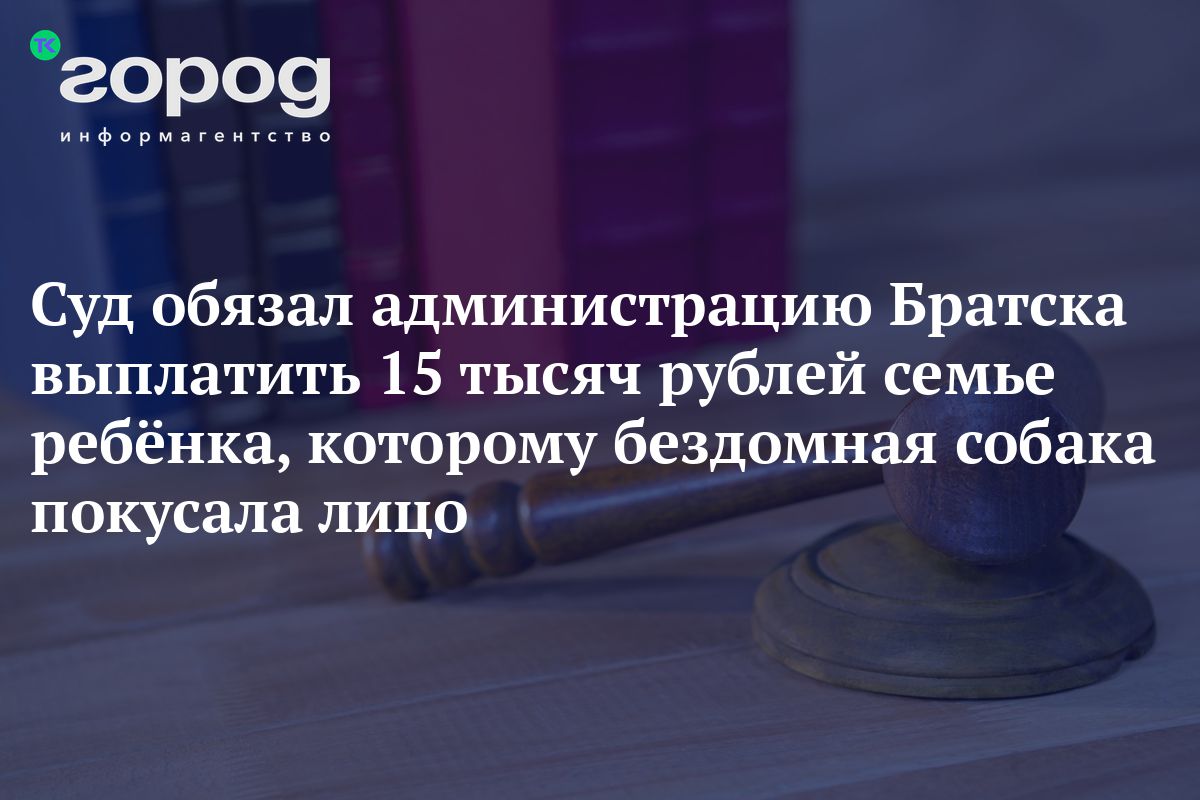 Суд обязал администрацию Братска выплатить 15 тысяч рублей семье ребёнка,  которому бездомная собака покусала лицо