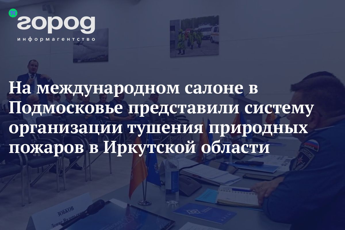 На международном салоне в Подмосковье представили систему организации  тушения природных пожаров в Иркутской области