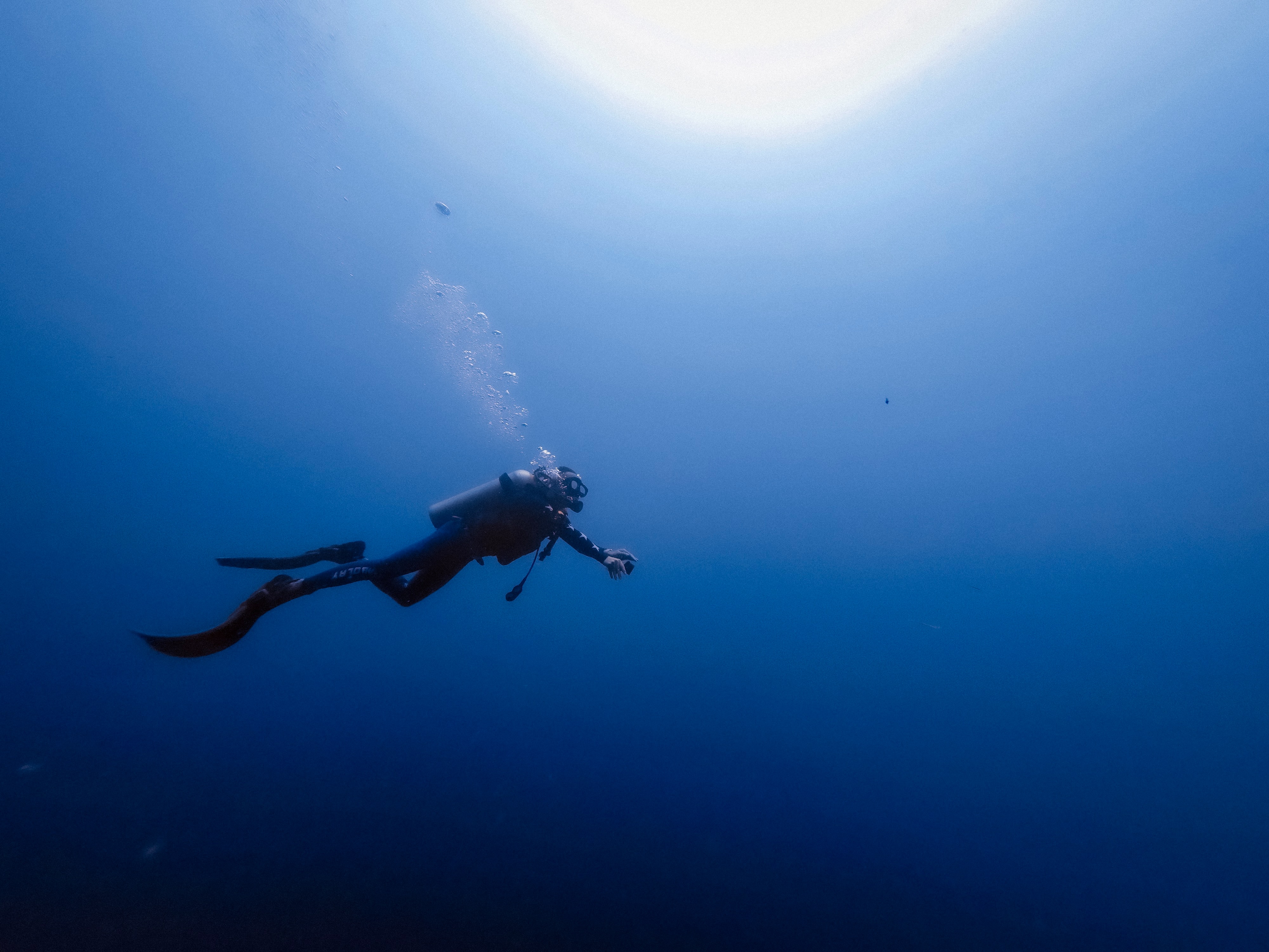 Подводное плавание в море